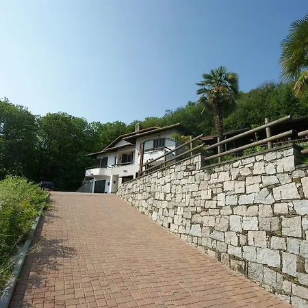Mirtillo
